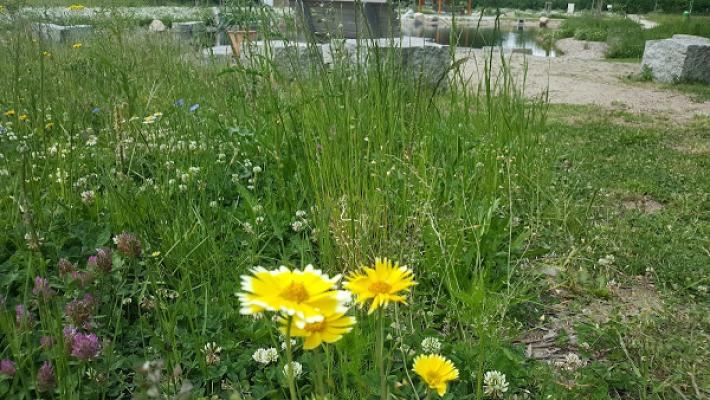 RESO Garten- und Landschaftsbau Maria Solle e. K.