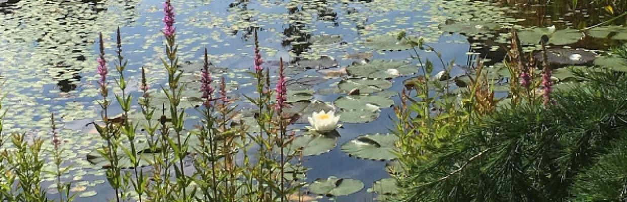 spaten-stich garten gmbh