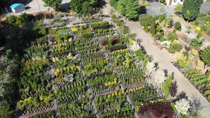 Baumschule & Galabau Seidler