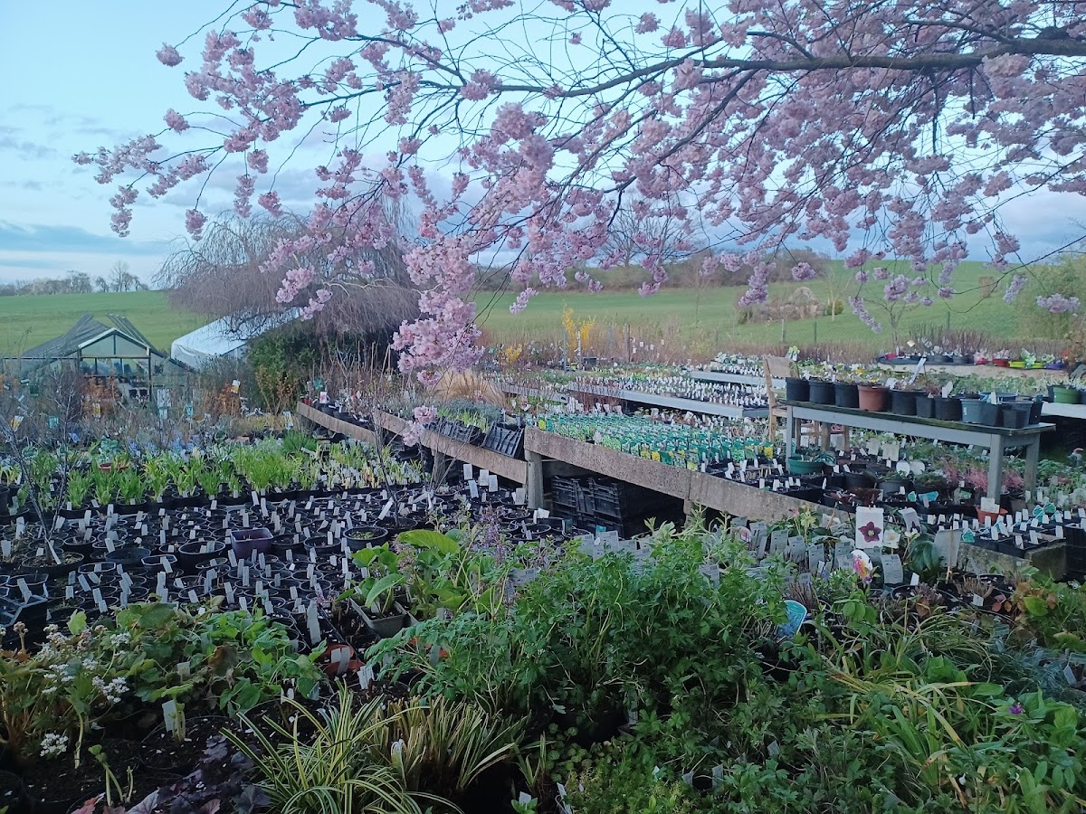 682e4880481a8