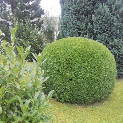 Garten und Landschaftspflege-Häublein
