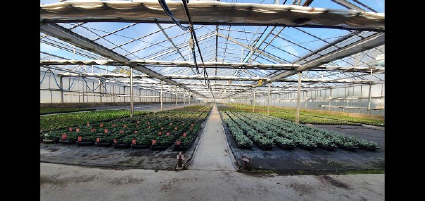 Lurtz Gartenbaubetrieb GmbH