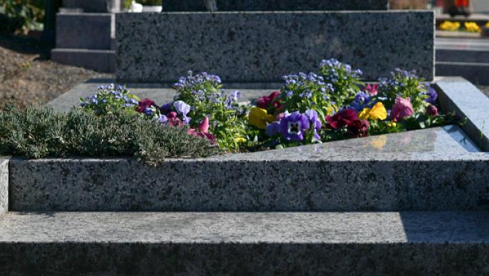 Gärtnerei Böhmerwiese