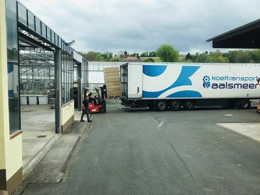 Gartenbau Klein GmbH & Co. KG