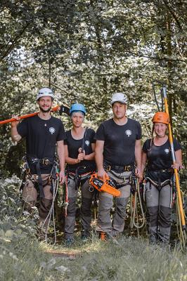 Baumpflege Hofmann-Röckelein