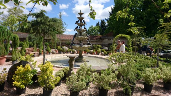 Rheingau Gärten - Garten- und Landschaftsbau