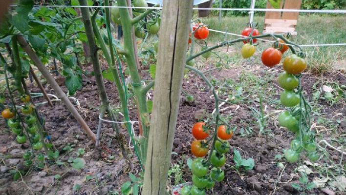 Garten Eggergrube