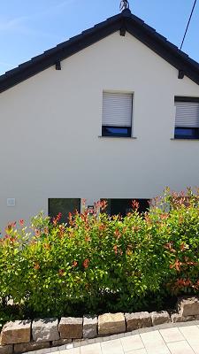 682e4b6037398