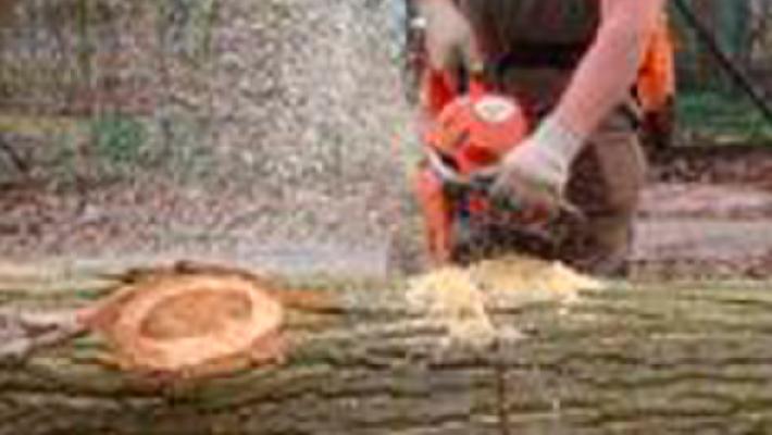 Christian Kulsch Garten- und Landschaftsbau GmbH