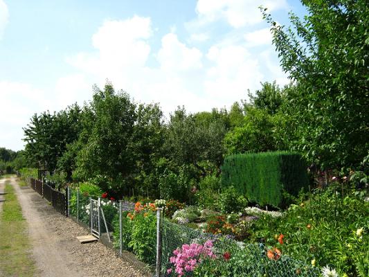 Gartengemeinschaft "Flora" e.V.