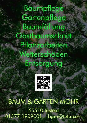 Baum & Garten Mohr
