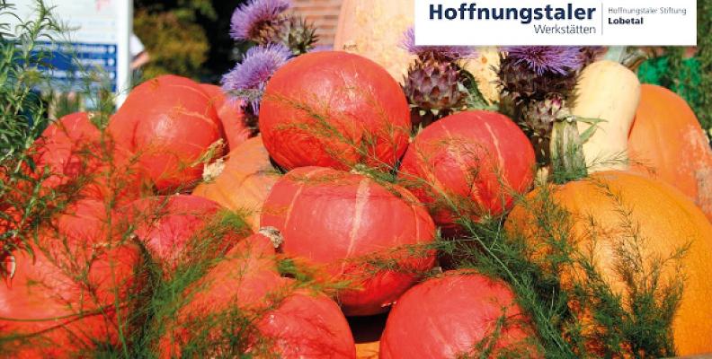Lobetaler Bio-Gärtnerei, Gemüsebearbeitung, Garten- und Landschaftspflege