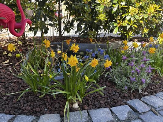 Michael Etzel Gartengestaltung