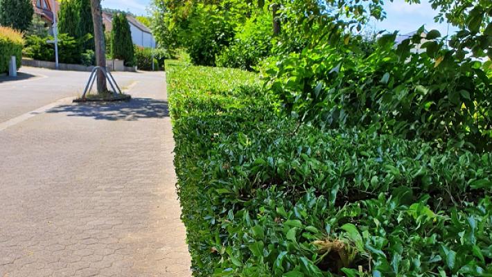 Haus- und Garten-Service Stöhr