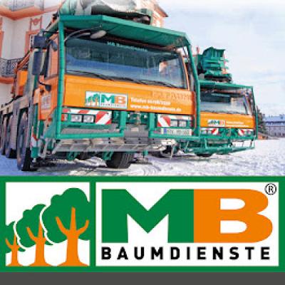 MB Baumdienste GmbH & Co. KG