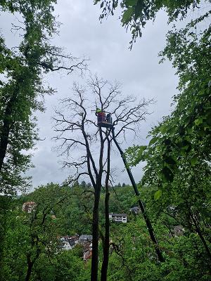 682e4ccd69ff0