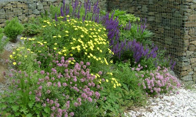 Waldvogel Landschaftsarchitektur