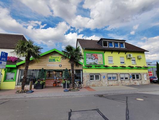 Tropica Raritätengärtnerei GmbH