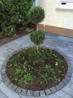 Garten- und Landschaftsgestaltung Stein