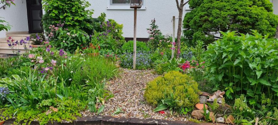 Abis Haus- & Gartenservice