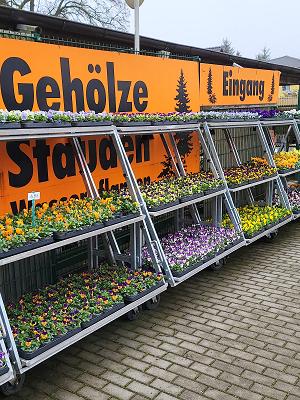 Sängerlaub Pflanzenhandel GmbH ( früher Stuckart)