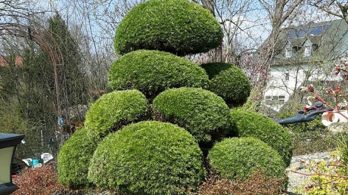Gartenbau und Grabpflege Köhler
