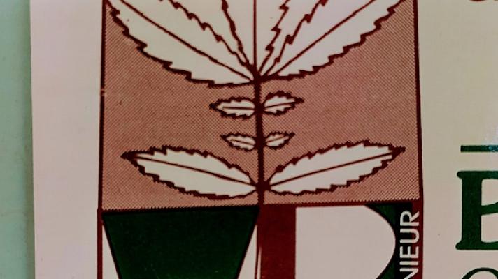 Bachmann Gartengestaltung