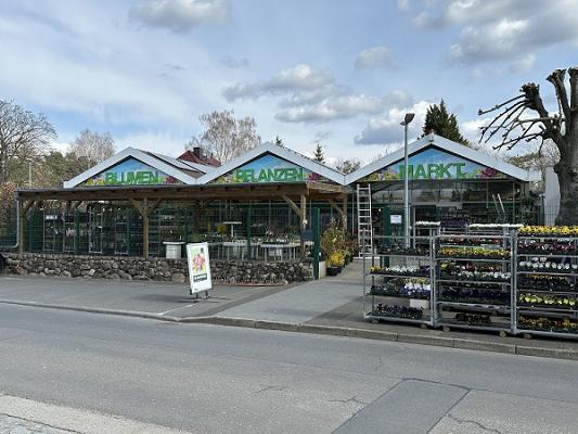 Schlestein Blumen- und Pflanzenmarkt GmbH