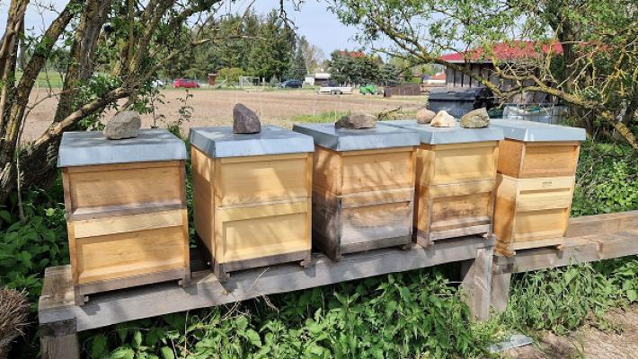 Forst und Garten Jens Looke