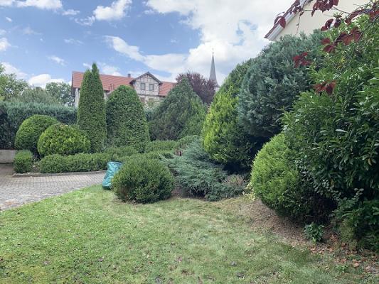 Gartenservice Dienstleistungen - Felix Oberender