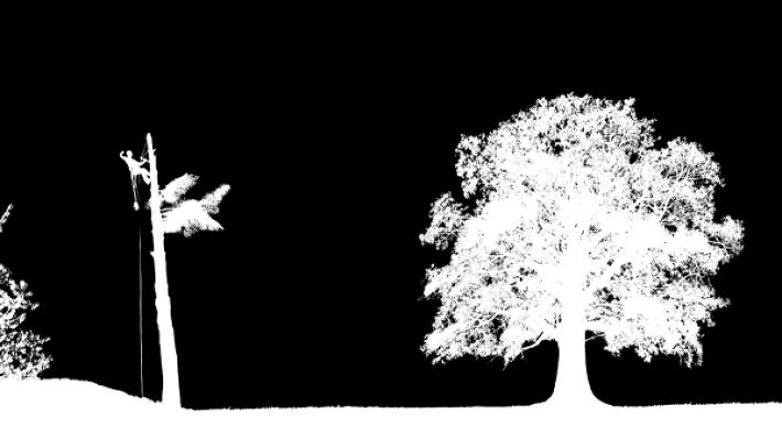 Baumpflege Oberfranken