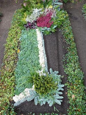 Schorr // Garten- & Landschaftsbau