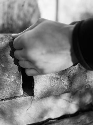 Baumpflege & Gartenbau Eichner