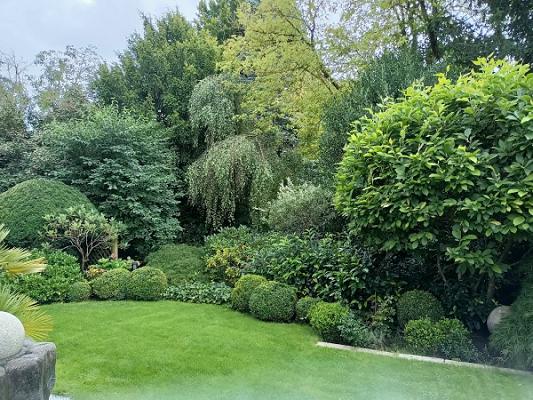 Ossen Gartengestaltung