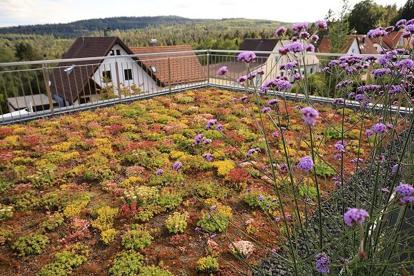 Garten- und Landschaftsbau Schönthaler