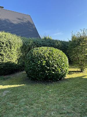 Semmelmann Hausdienstleistungen GmbH