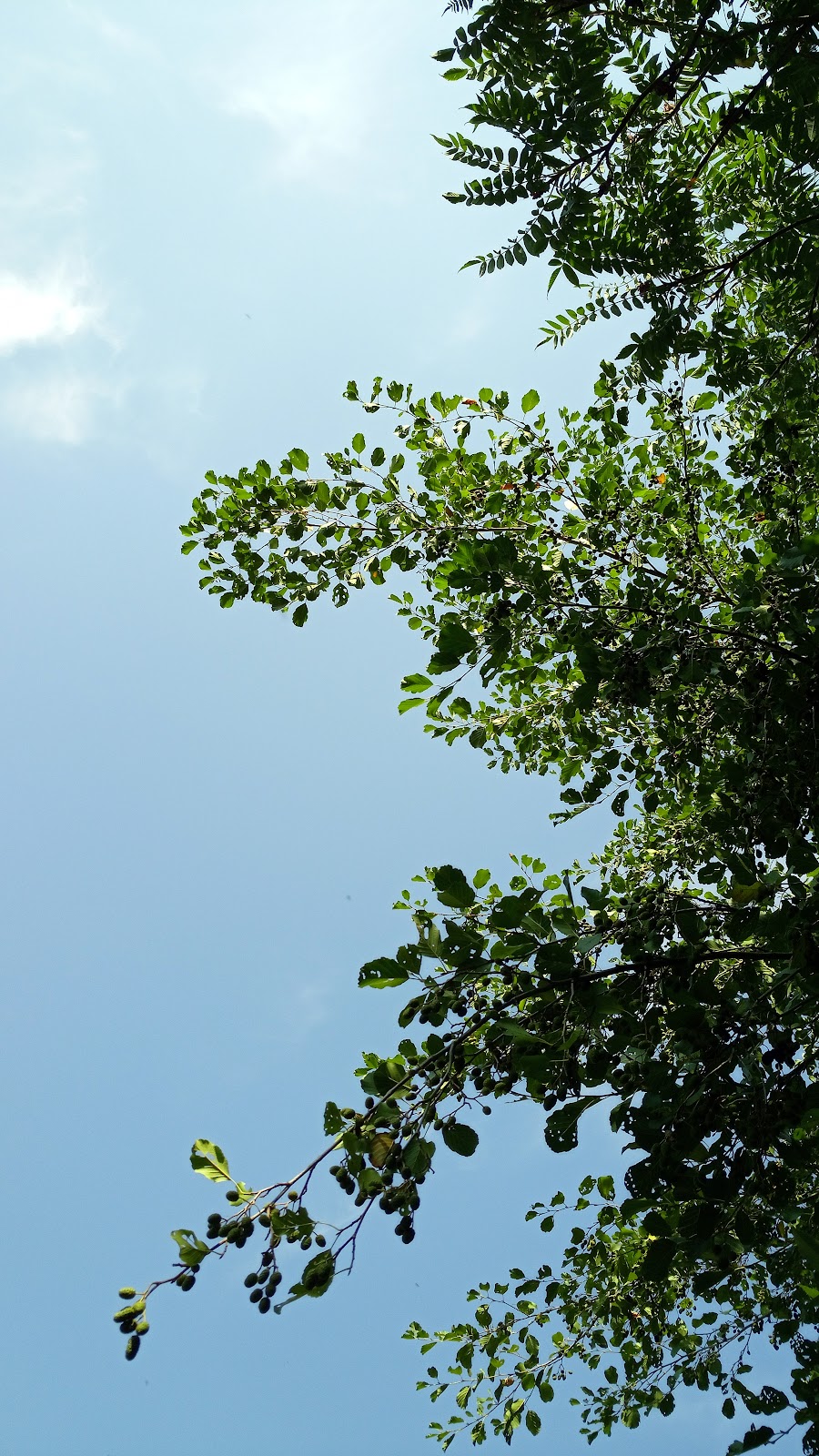 682ddd2d03ddc