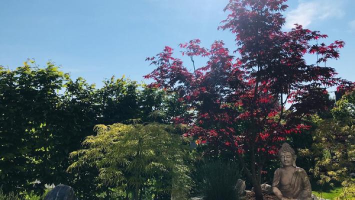 Schilling & Lang eGbR