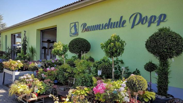 Baumschule Popp