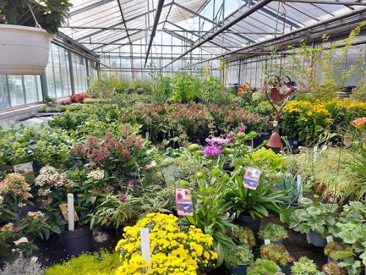 Gartenbau Veitsbronn