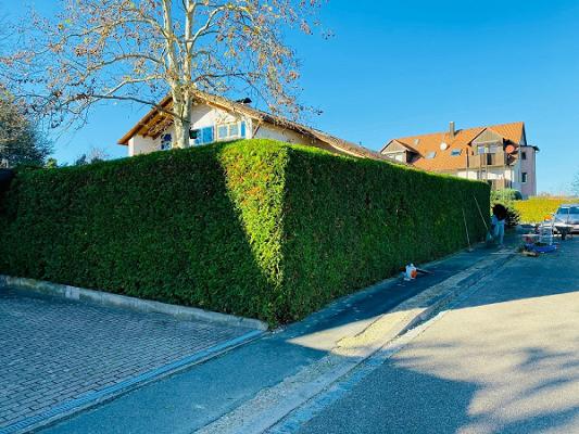 Gartenpflege Stingl