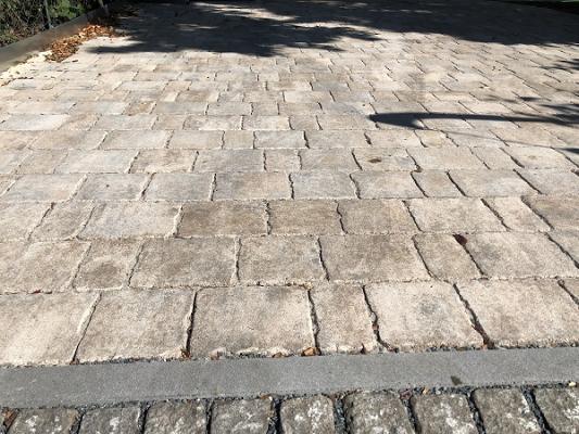 Stephan Bludau Garten- und Landschaftsbau