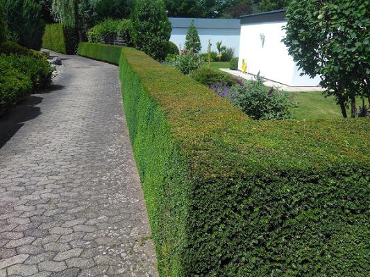 Tilo Ritz 4- Jahreszeiten Gartengestaltung