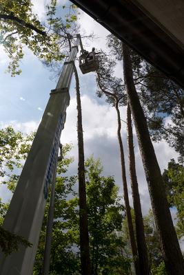 ARBORSIGN Baumpflege