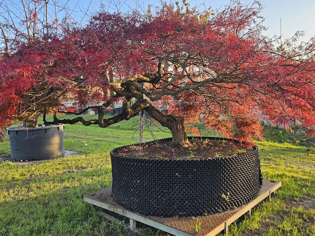 682e78797bf23