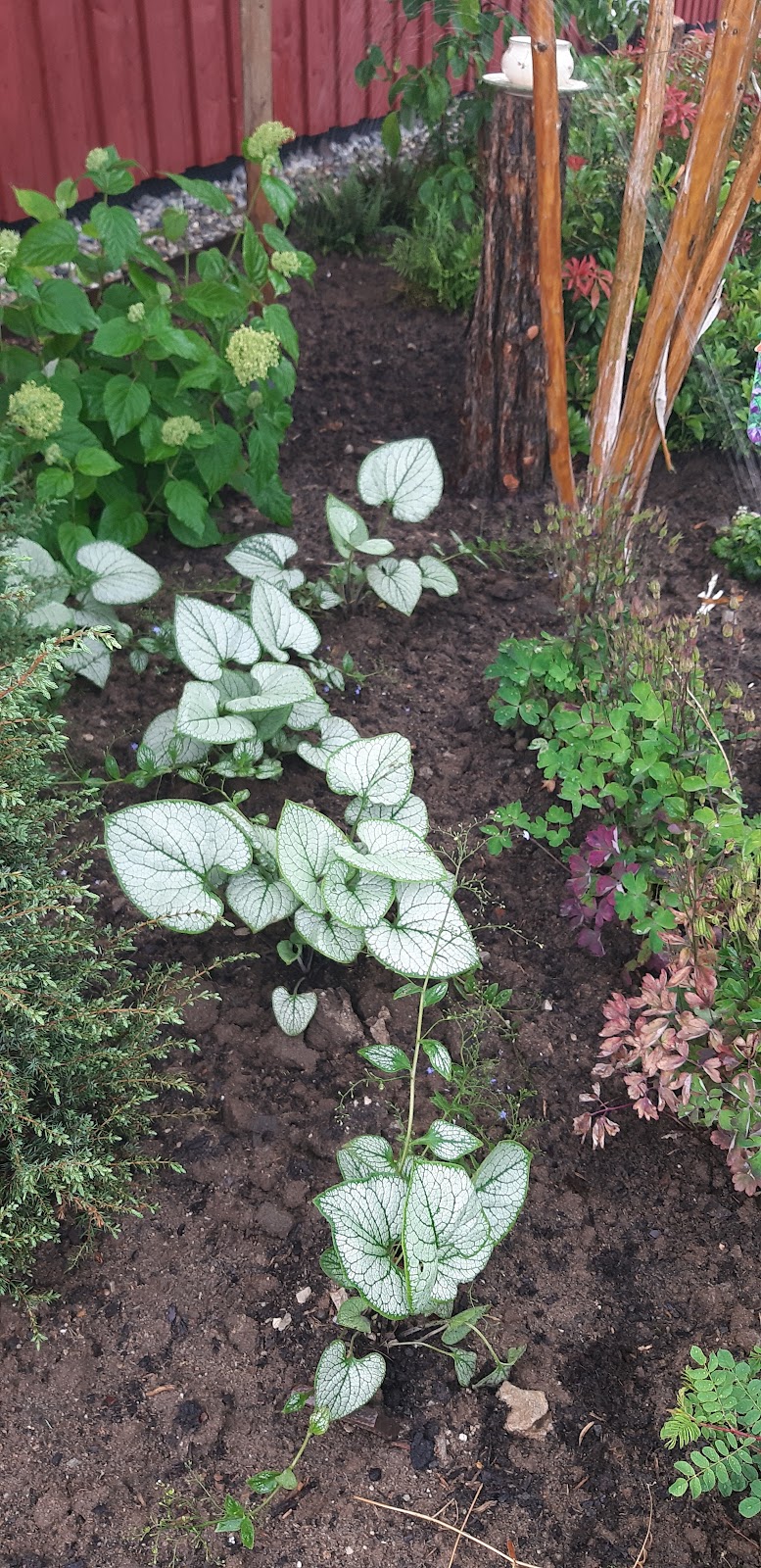 682e787bda80c