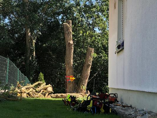 Baumdienst Krottenthaler