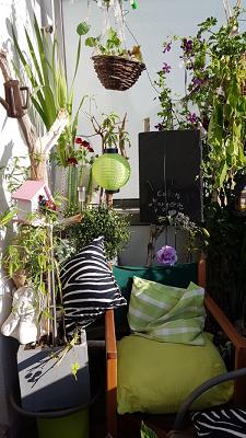 Blütenzauber Kerstin Wende