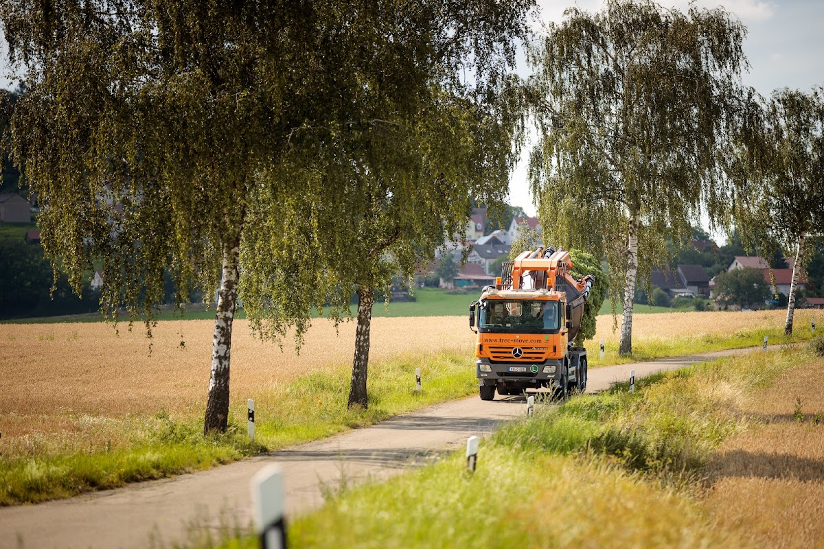682e79574205d
