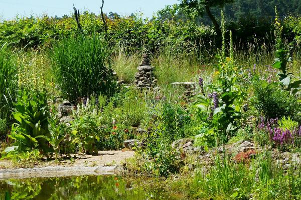Natur Garten Helbig